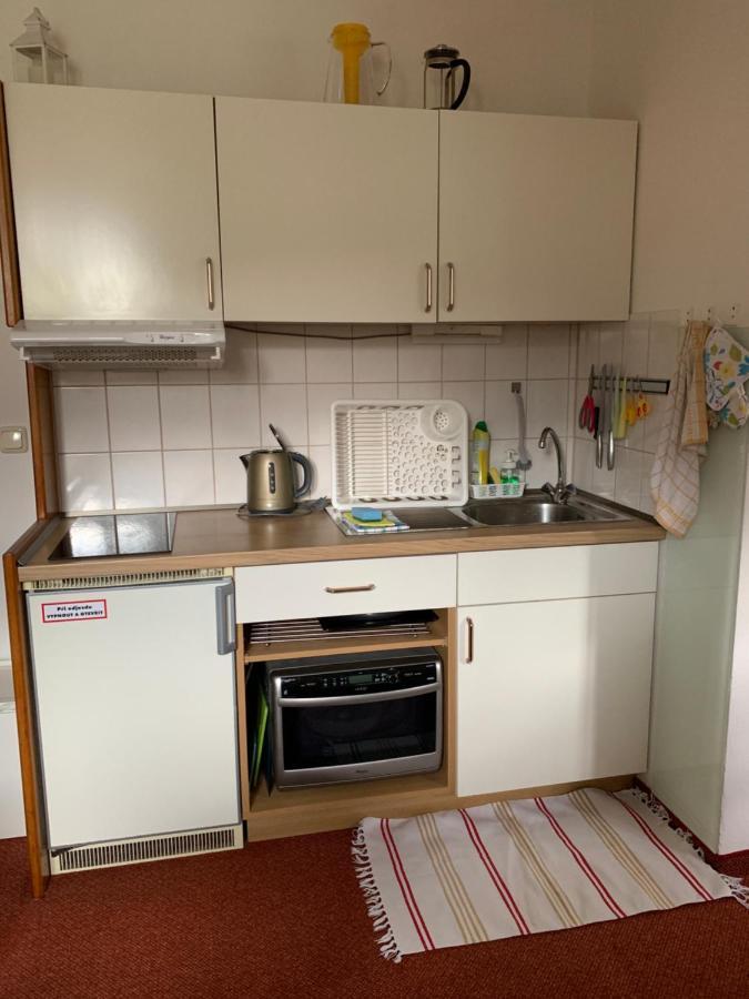 Apartman Viki Apartment Philippsreut Luaran gambar